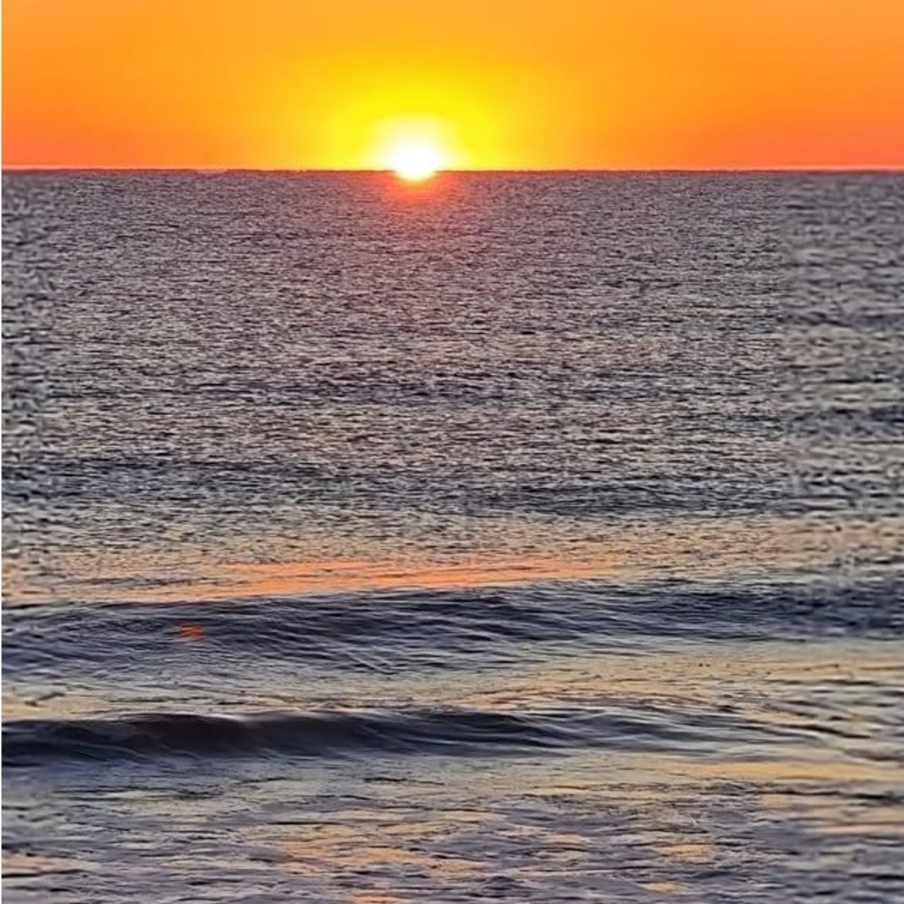 Meet your Posher, Terry